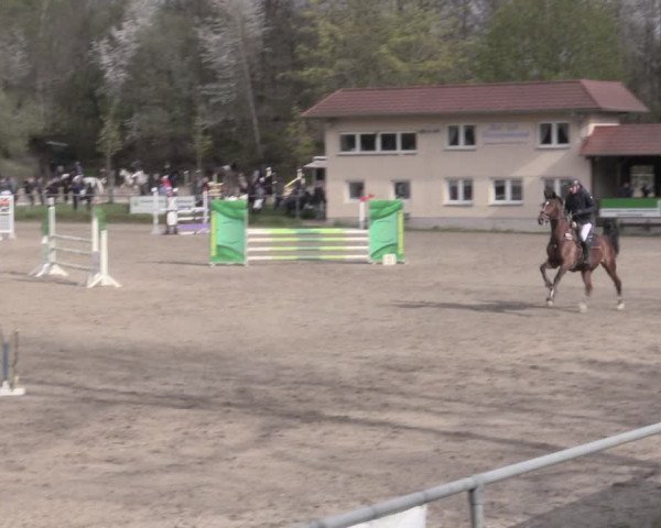 Reitturnier Lgl.-Oberhain, B95 2023