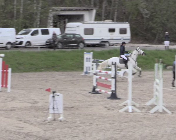 Reitturnier Lgl.-Oberhain, B95 2023