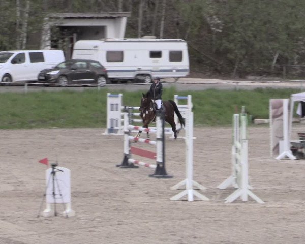 Reitturnier Lgl.-Oberhain, B95 2023