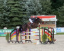 broodmare Classic Libertina (German Sport Horse, 2012, from Convoi's Gipsy)