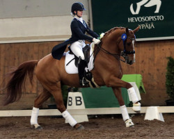 dressage horse Wolle Wolkenstein (Hanoverian, 2003, from Wolkenstein II)