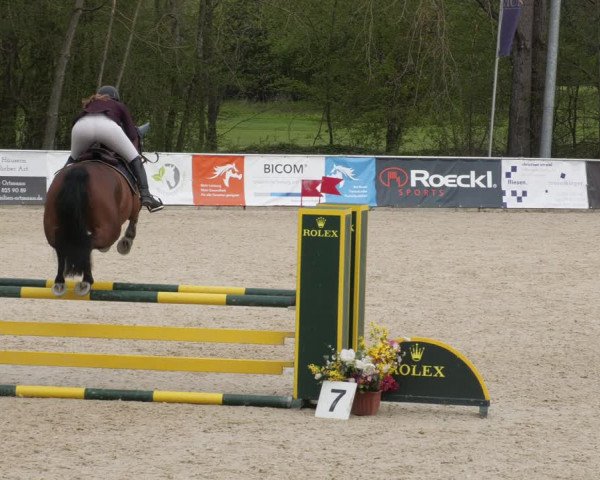 Reitturnier Karlsfeld 2023