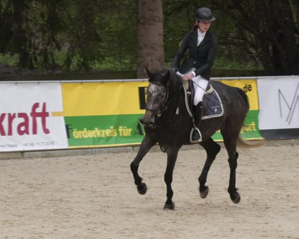 Reitturnier Karlsfeld 2023