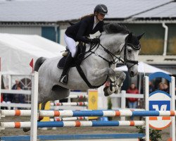 jumper Cool And Clean H (Oldenburg show jumper, 2016, from Cellestiano)