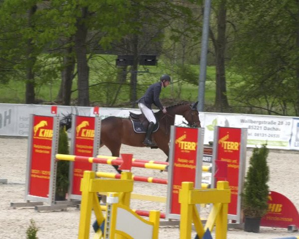 Reitturnier Karlsfeld 2023