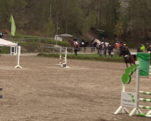 Reitturnier Lgl.-Oberhain, B95 2023