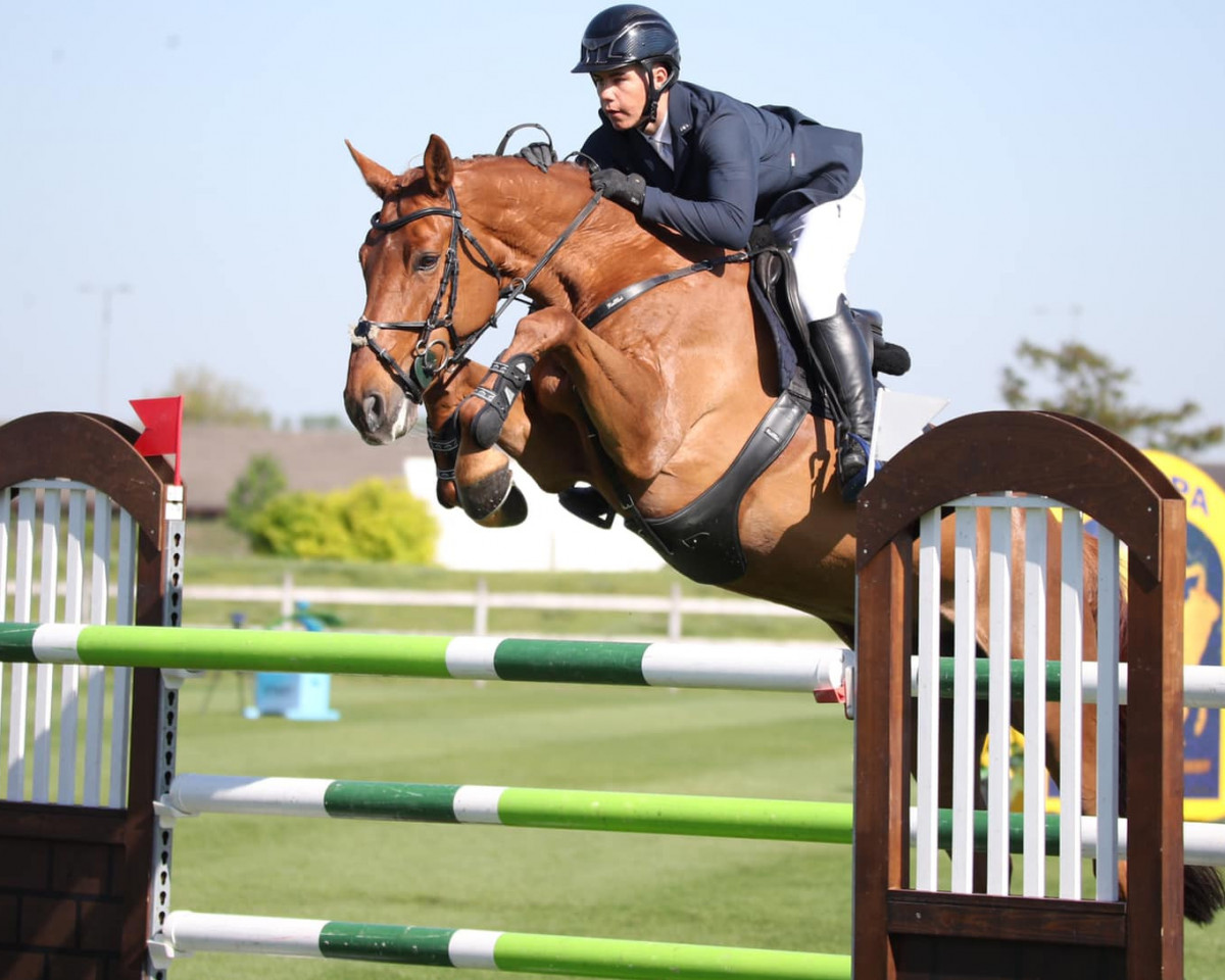 jumper Nena Chanti Z (Zangersheide riding horse, 2012, from Nabab de Rêve)