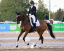 dressage horse Cornando van de Cadzandhoeve (Belgian Warmblood, 2002, from Carnando)