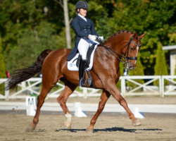 dressage horse Hyops (Hanoverian, 2005, from Hochadel)