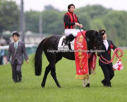 stallion Eishin Flash xx (Thoroughbred, 2007, from Kings Best xx)