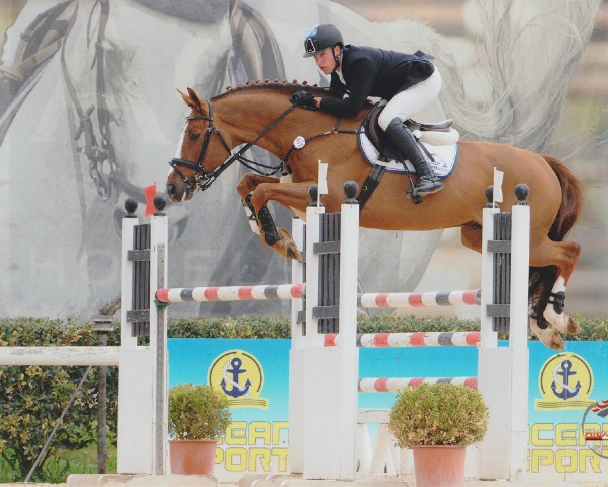 Springpferd Onyx du Fraigneau (Selle Français, 2002, von Diamant de Semilly)