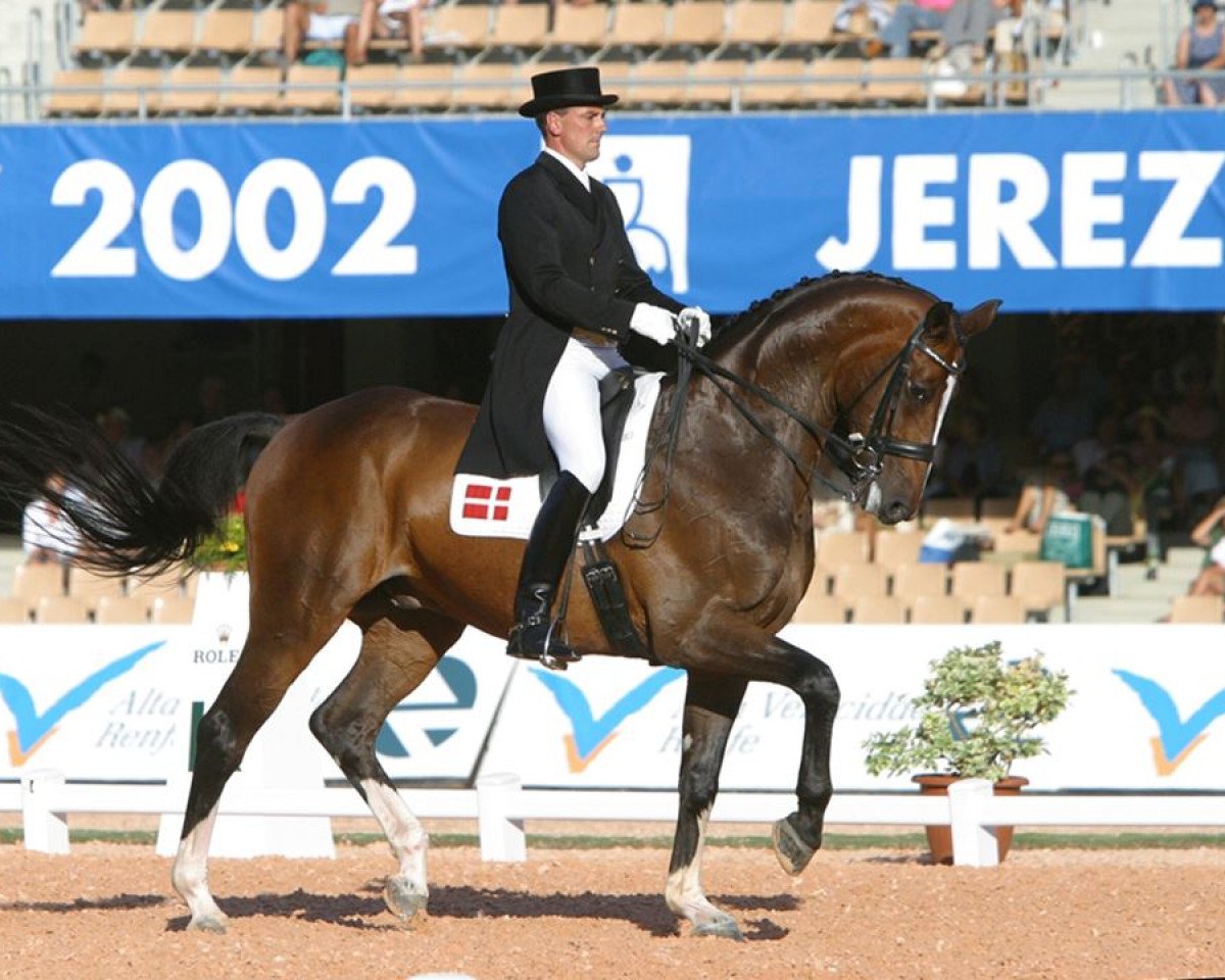 Pferd Blue Hors Cavan (Hannoveraner, 1990, von Cavalier)