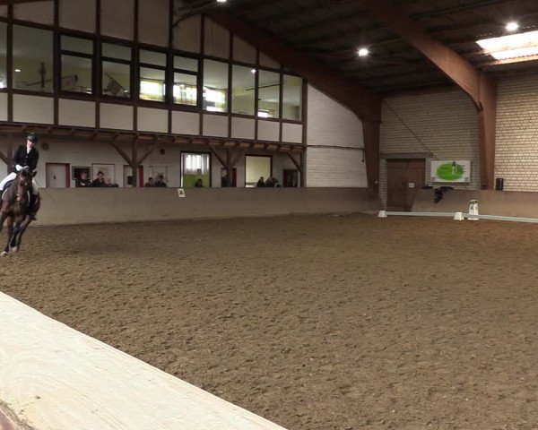 Reitturnier Kamen 2023