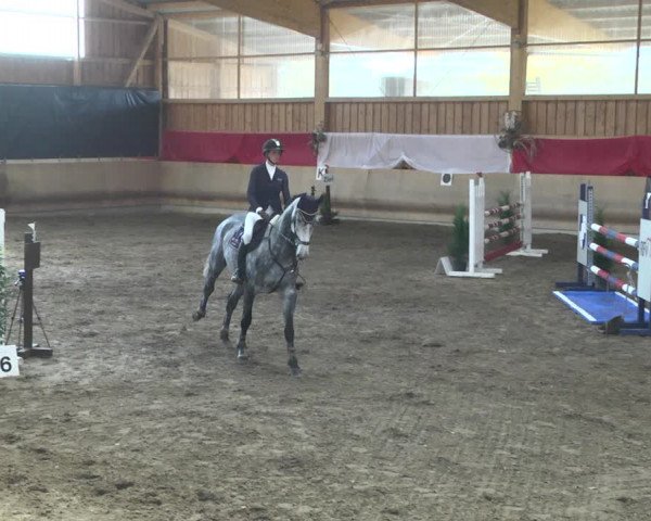 Reitturnier Schwendi 2021