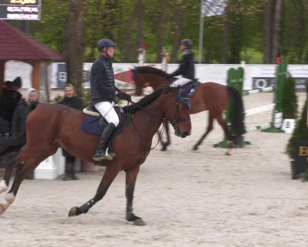 Reitturnier Karlsfeld 2023