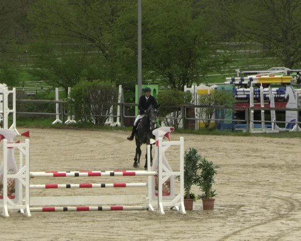 Reitturnier Kamen 2023