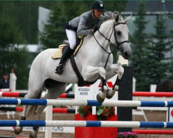 Pferd New Hill Julietta (Finnisches Warmblut, 1998, von Cassini II)