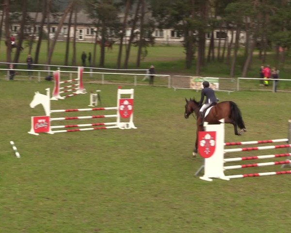 Reitturnier Colbitz 2023