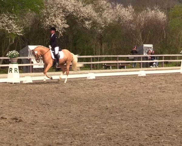 Reitturnier Kleinsolt 2023