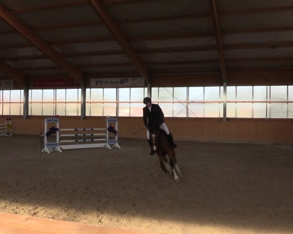 Reitturnier Polzow 2021