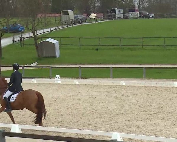 Reitturnier Gut Bohmerhof/Obb. 2023