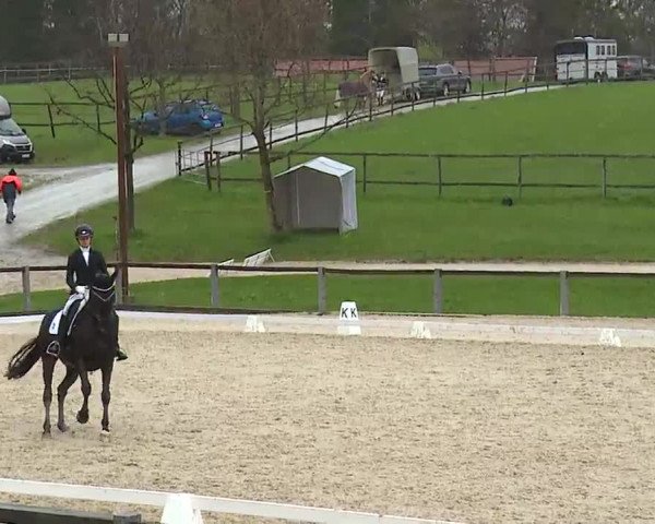 Reitturnier Gut Bohmerhof/Obb. 2023