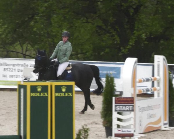 Reitturnier Karlsfeld 2023