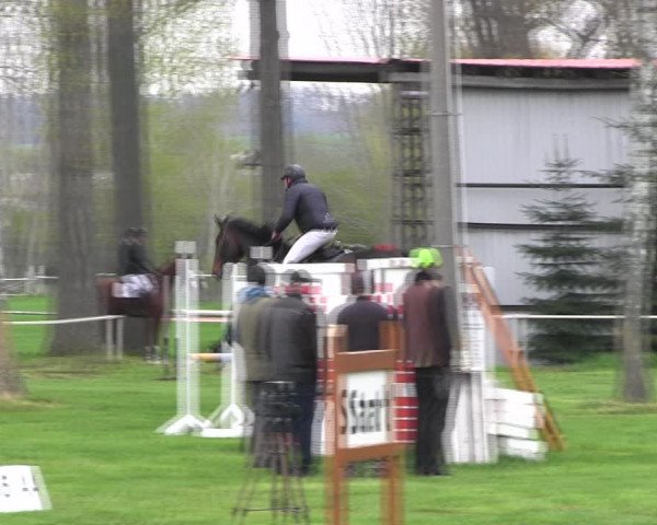Reitturnier Derenburg 2023
