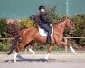 dressage horse Mei Mei Sue (Westphalian, 2017, from Sir Heinrich OLD)