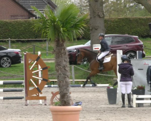 Reitturnier Handorf 2023