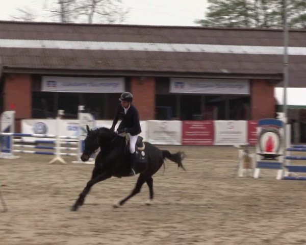 Reitturnier Havixbeck 2023
