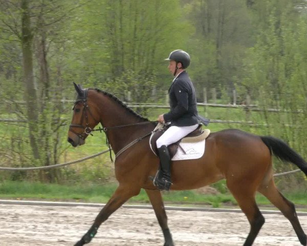 Reitturnier Handorf 2023