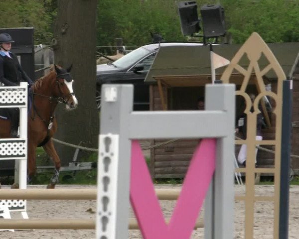 Reitturnier Handorf 2023