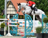 jumper Don Corleone 111 Z (Zangersheide riding horse, 2011, from Der Senaat 111)