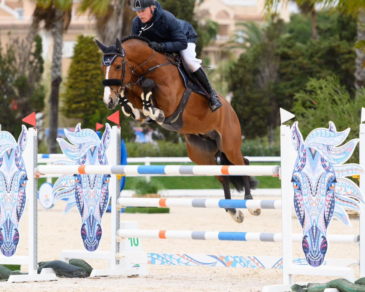 stallion For The Future (Westphalian, 2016, from For Pleasure)
