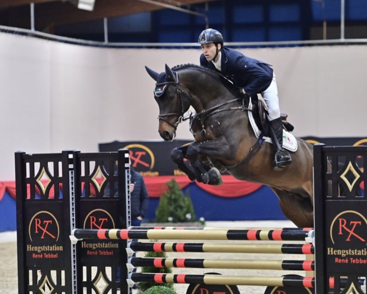 stallion Don Tryon (Oldenburg show jumper, 2016, from Don Diarado)