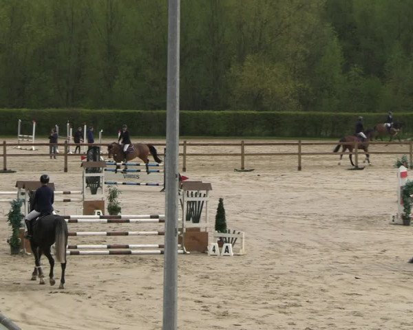 Reitturnier Kamen 2023