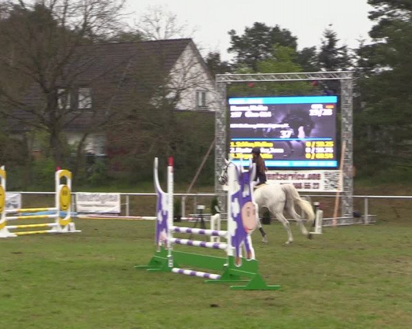 Reitturnier Colbitz 2023