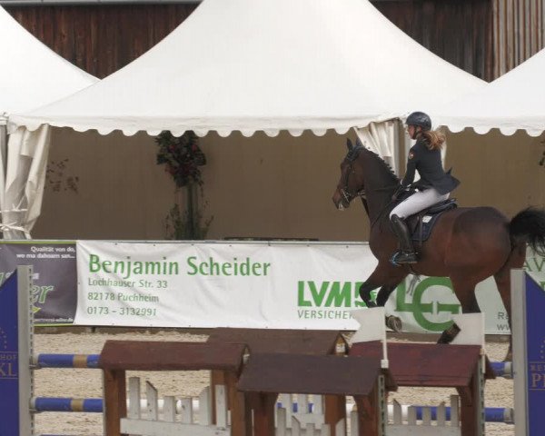 Reitturnier Karlsfeld 2023