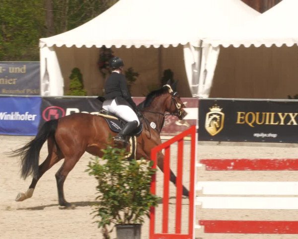 Reitturnier Karlsfeld 2023