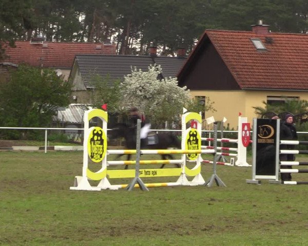 Reitturnier Colbitz 2023