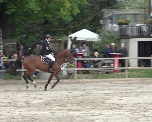 Reitturnier Hildesheim-Steuerwald 2023