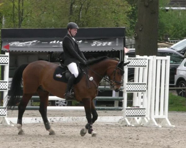 Reitturnier Handorf 2023