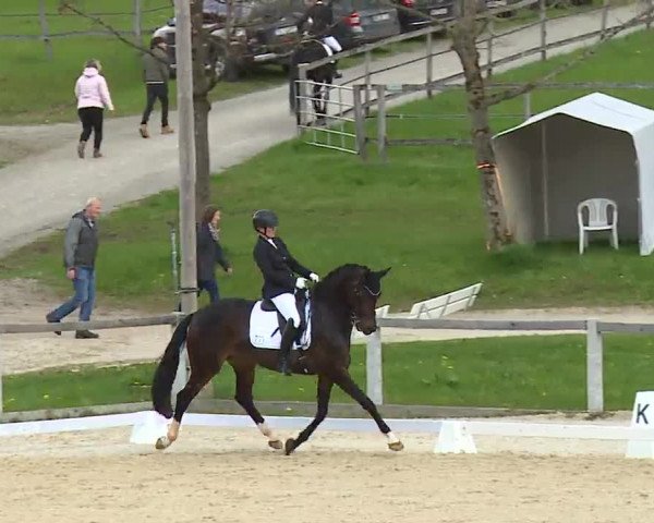 Reitturnier Gut Bohmerhof/Obb. 2023
