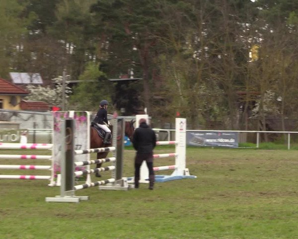 Reitturnier Colbitz 2023