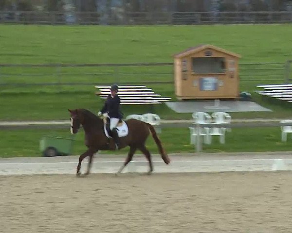Reitturnier Gut Bohmerhof/Obb. 2023