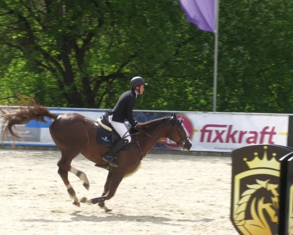 Reitturnier Karlsfeld 2023