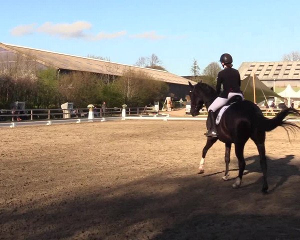 Reitturnier Kleinsolt 2023