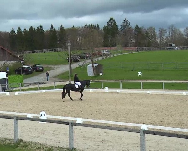 Reitturnier Gut Bohmerhof/Obb. 2023