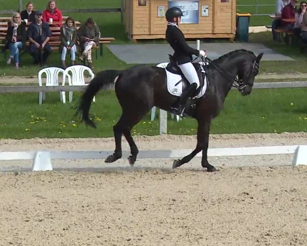 Reitturnier Gut Bohmerhof/Obb. 2023